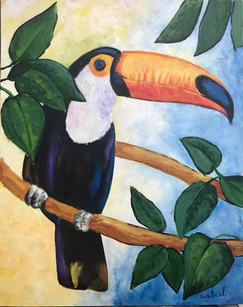 Tucano - 40 x 50 - AST